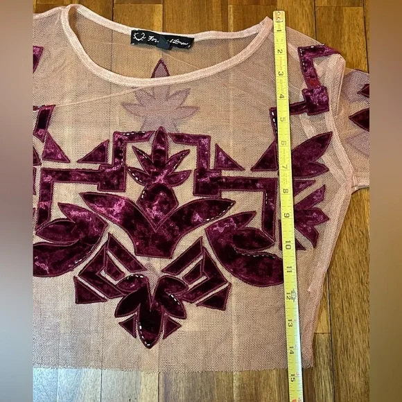 For love and lemons Elegant Sheer Top with Velvet Accents size small - Picture 7 of 11